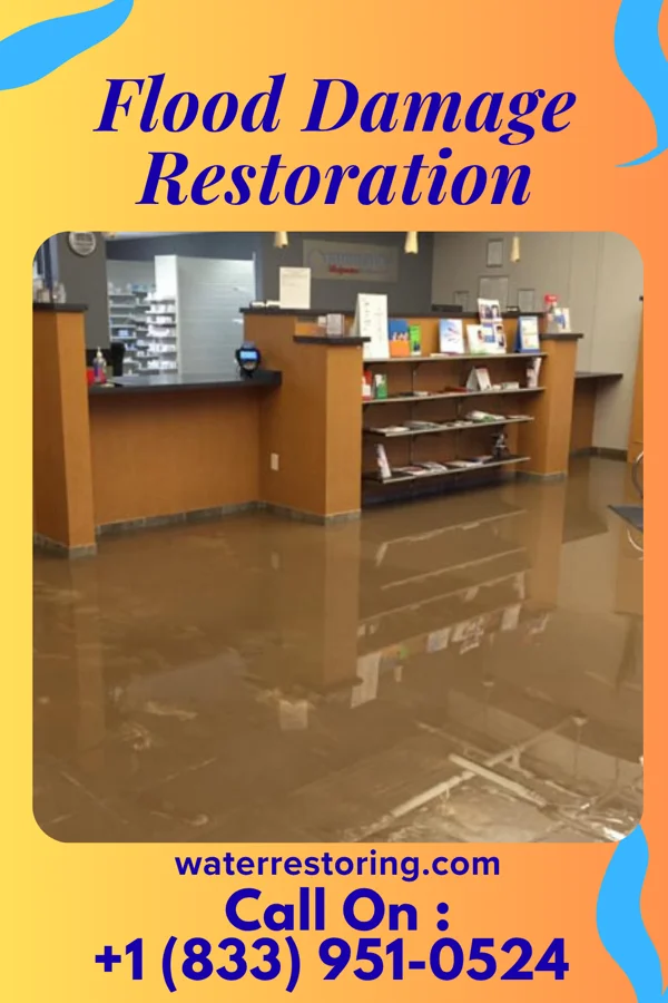 Flood Damage Restoration in Lindy, NE