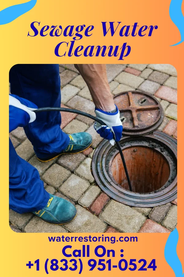 Sewage Water Cleanup in Lindy, NE